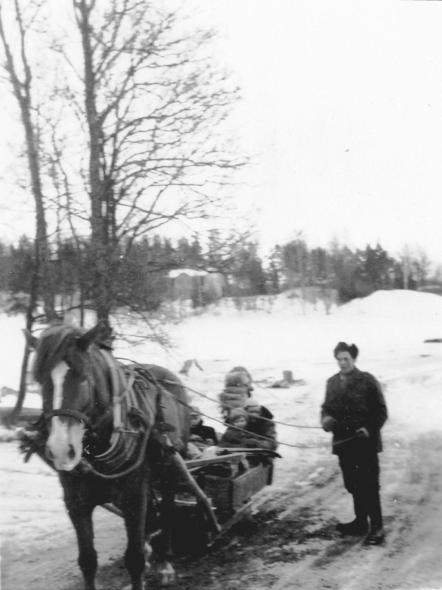 Hästen drar en släde på isen