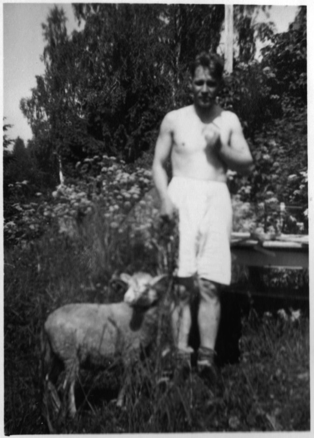 En man med ett får på ängen